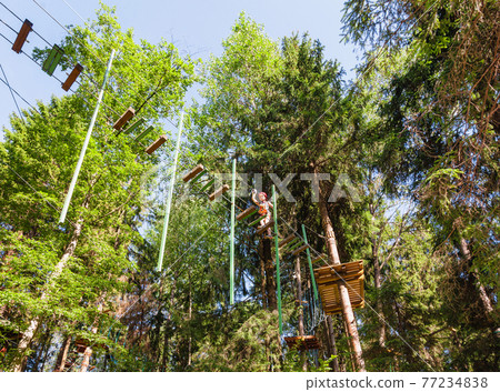 Little girl on a ropes course in a treetop adventure park passing hanging rope obstacle 77234838