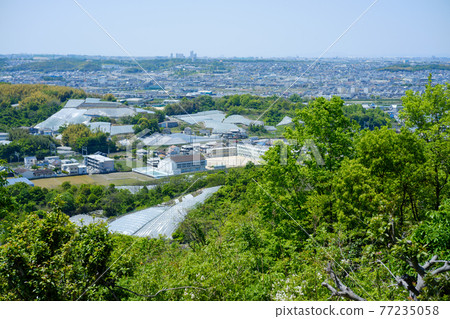 從觀景台上可以看到大阪府羽曳野市駒谷小學和廣闊的葡萄園。 從觀景台上可以看到大阪府羽曳野市駒谷小學和廣闊的葡萄園。 77235058