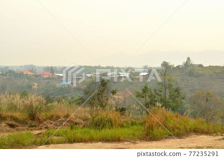 Scenery in nature. Scenery in nature. 77235291