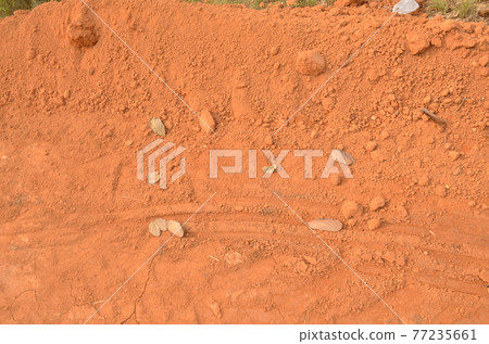 The ground is red. 77235661