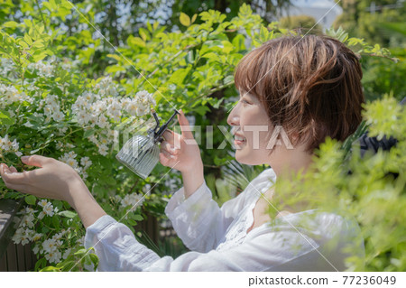 無性別的 LGBT 女孩喜歡男孩女人給植物澆水 77236049