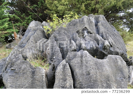 A mysterious wavy rock formation created by New Zealand's nature A mysterious wavy rock formation created by New Zealand's nature 77236299