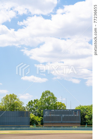 Stadium Stadium 77236655