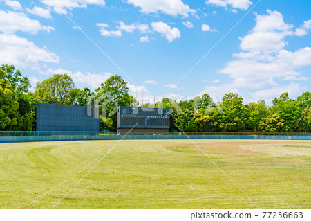 Stadium 77236663