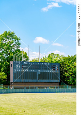 Stadium Stadium 77236668