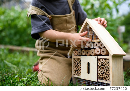 Obscured small child playing with bug and insect hotel in garden, sustainable lifestyle. Obscured small child playing with bug and insect hotel in garden, sustainable lifestyle. 77237420