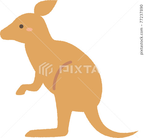 袋鼠可愛的插圖 77237890