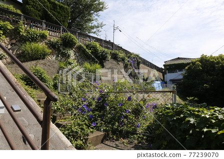 下關地區 JR 下關站 大利神社 下關海峽夢幻塔 77239070