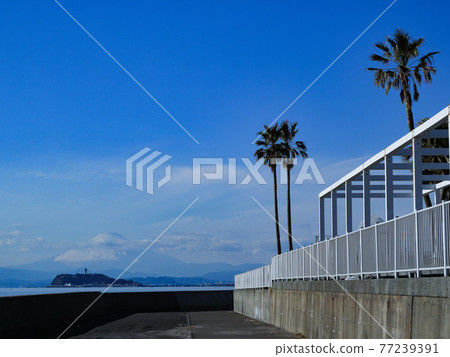 Shonan landscape 77239391