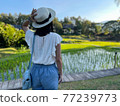 A person with her back at the camera. Concept about outdoor open-air travel. 77239773