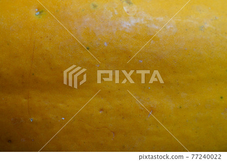 Photos of ripe papaya pattern texture background. Photos of ripe papaya pattern texture background. 77240022
