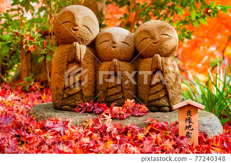 鎌倉 / Hase-dera 秋葉和好運地藏 77240348