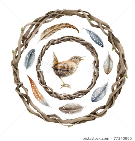 Vine rustic wreath, wren, feathers set. Watercolor illustration. Branch twisted floral round decor. Boho style vintage wreath. Natural dry twig circle, wren bird, feather element. On white background 77240990
