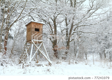Wooden hunting pulpit in winter Wooden hunting pulpit in winter 77241079