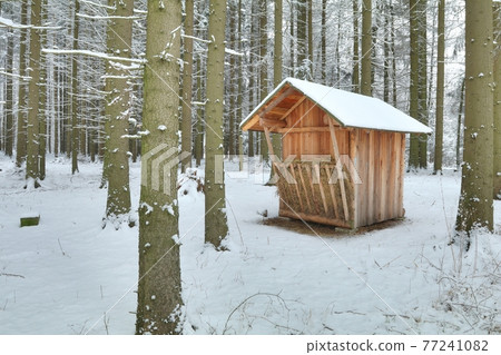 Hunting feeder for animals during winter Hunting feeder for animals during winter 77241082