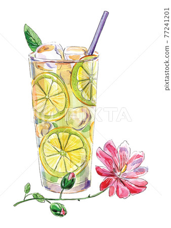 Hand-drawn illustration of lemonade, mint leaf, tubule and pink hibiscus flower, vector Hand-drawn illustration of lemonade, mint leaf, tubule and pink hibiscus flower, vector 77241201