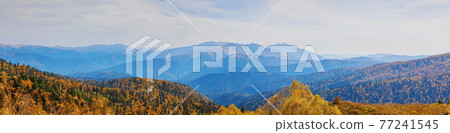 Autumn blue sky with white clouds and mountains on the yellowed vegetation Autumn blue sky with white clouds and mountains on the yellowed vegetation 77241545
