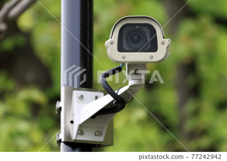 Security camera image 77242942