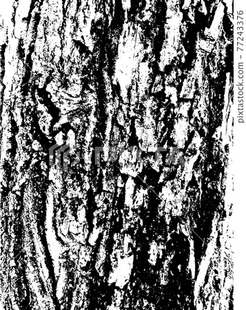 Grunge tree bark texture. Distressed overlay texture. Black and white vector texture Grunge tree bark texture. Distressed overlay texture. Black and white vector texture 77243376