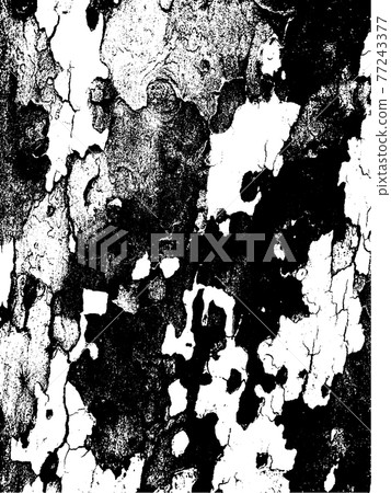 Grunge tree bark texture. Distressed overlay texture. Black and white vector texture Grunge tree bark texture. Distressed overlay texture. Black and white vector texture 77243377