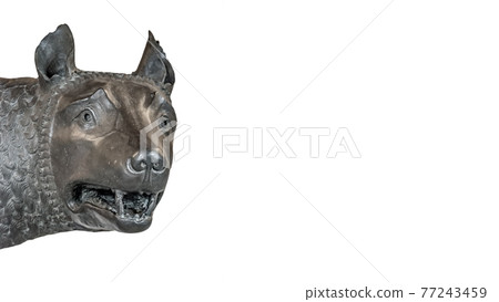 Head of the mother wolf statue from Rome, isolated at background, Rome, Italy Head of the mother wolf statue from Rome, isolated at background, Rome, Italy 77243459