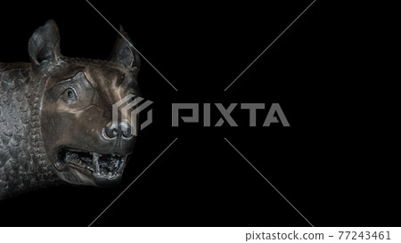 Head of the mother wolf statue from Rome, isolated at background, Rome, Italy 77243461
