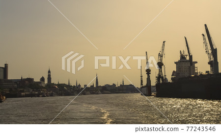 Modern cargo port with many container cranes in Hamburg harbor during warm sunset, Germany 77243546