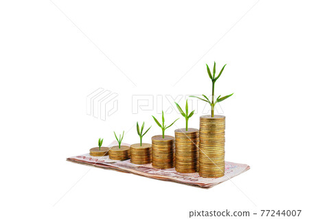 A tree growing on a coin step increase with money 1000 thai baht. Business growth on white background. A tree growing on a coin step increase with money 1000 thai baht. Business growth on white background. 77244007