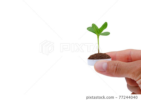 Hand holding a bottle cup plastic with a tree on white background. save the earth ecology concept. 77244040