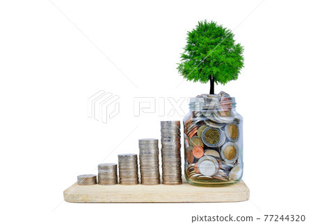 Small tree growing on a money coin step increase. Business growth and success on white background. Small tree growing on a money coin step increase. Business growth and success on white background. 77244320