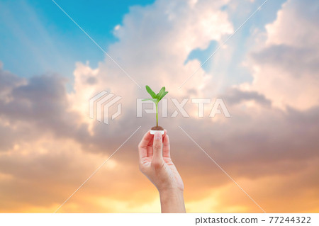 Hand holding a bottle cup plastic with a tree on natural background. save the earth ecology concept. 77244322
