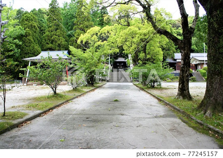 Tokushige Shrine approach 77245157