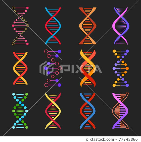 DNA helix vector icons of genetics medicine - Stock Illustration ...