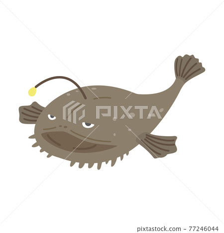 琵琶魚圖 琵琶魚圖 77246044
