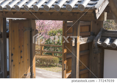 Ikeda Castle Ruin Park 77247039