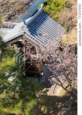 Ikeda Castle Ruin Park 77247043