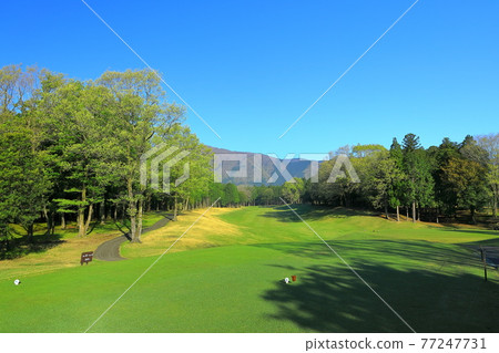 Odakyu Nishifuji Golf Club, Fujinomiya City, Shizuoka Prefecture 77247731