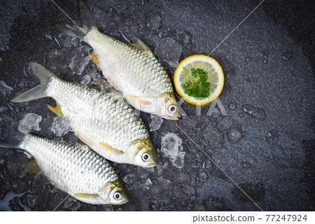 Silver Barb fish on ice,  Java Barb Carp Fish on market food with herb and spices lemon on dark background, Fresh fish top view 77247924