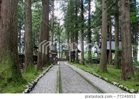 夾在高大的雪松之間的門和大門/文托（新潟縣南魚沼市） 77248053