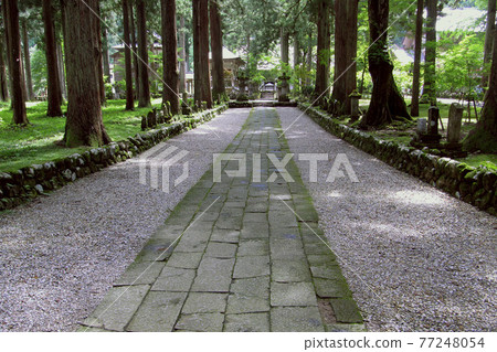 雪松環繞的引道上的鵝卵石（地下室的蓮花經）/文托安（新潟縣南魚沼市） 77248054