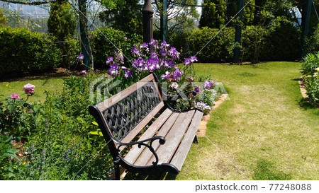 Sanyo Medea Flower Museum Backyard Wooden Bench Sanyo Medea Flower Museum Backyard Wooden Bench 77248088
