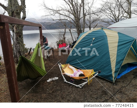 Setting up a tent at the campsite and lakeside (Lake Yamanaka) 77248415