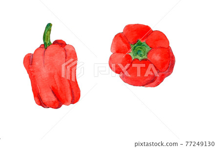 紅辣椒手繪透明水彩插圖 77249130