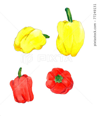 辣椒粉手繪透明水彩插圖集 77249131