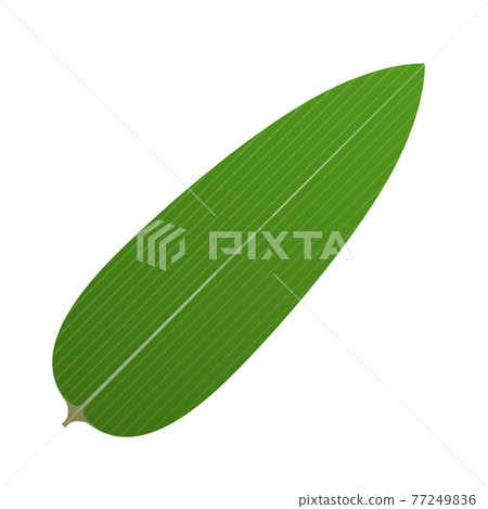 Bamboo leaf  77249836