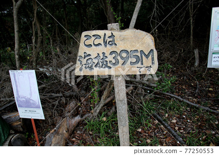 Minoo City, Osaka Prefecture, Minoo Forest, Rokutsuyama, Mountain Top, Elevation Display Pillar 77250553