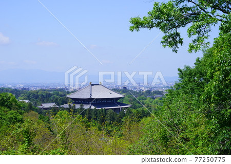 5月9日東大寺大佛殿 5月9日東大寺大佛殿 77250775
