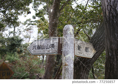 Destination display board showing Minoo no Mori, Rokutsuyama summit and Niina, Minoo City, Osaka Prefecture 77250857