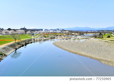從本富士見橋/入間川上游眺望（埼玉縣狹山市）[2020.4] 77250905