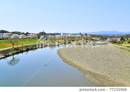 從本富士見橋/入間川上游眺望（埼玉縣狹山市）[2020.4] 77250906